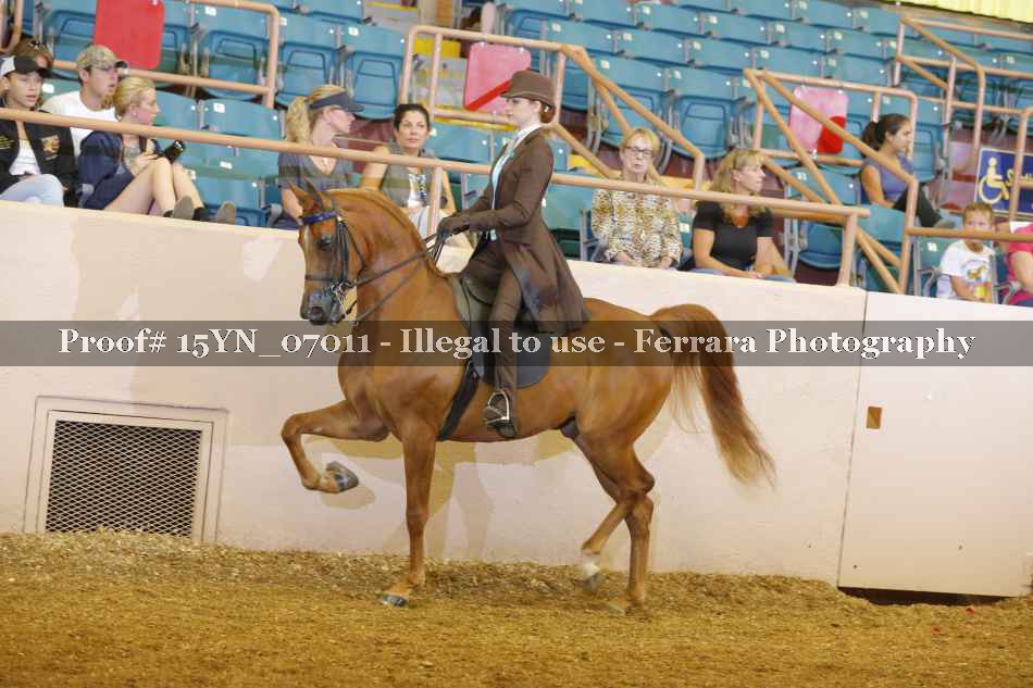 Proof 15YN_07011