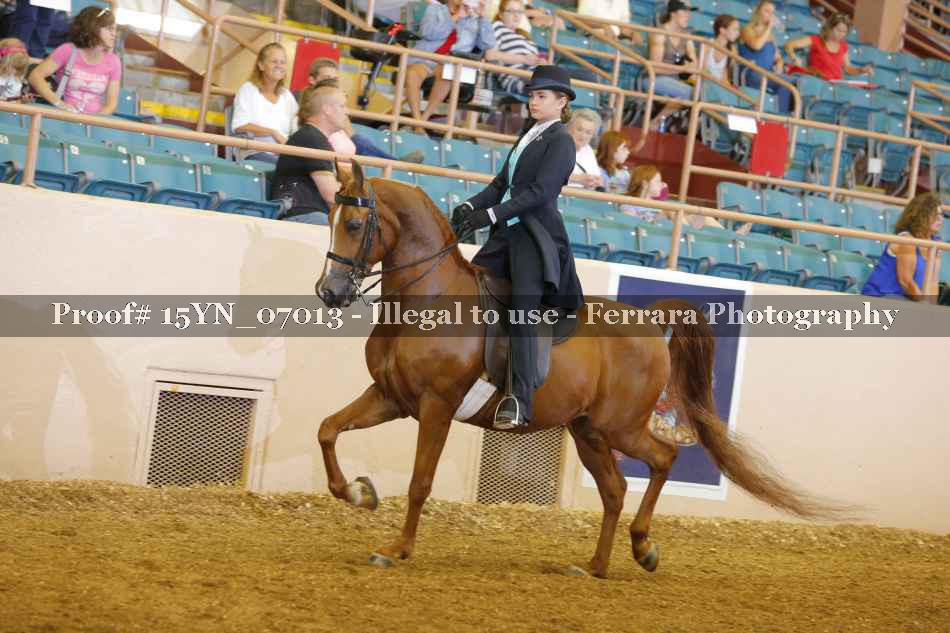 Proof 15YN_07013