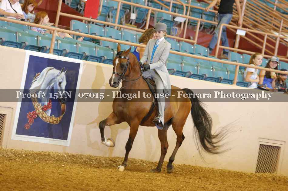 Proof 15YN_07015