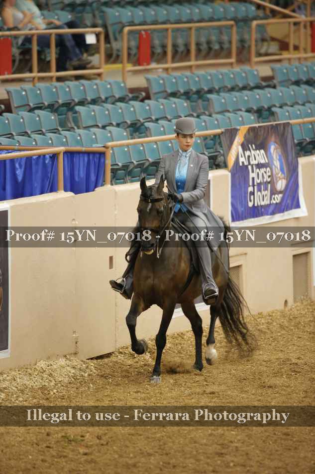 Proof 15YN_07018