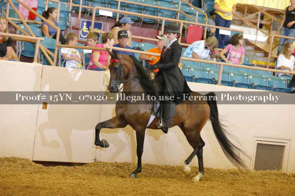 Proof 15YN_07020