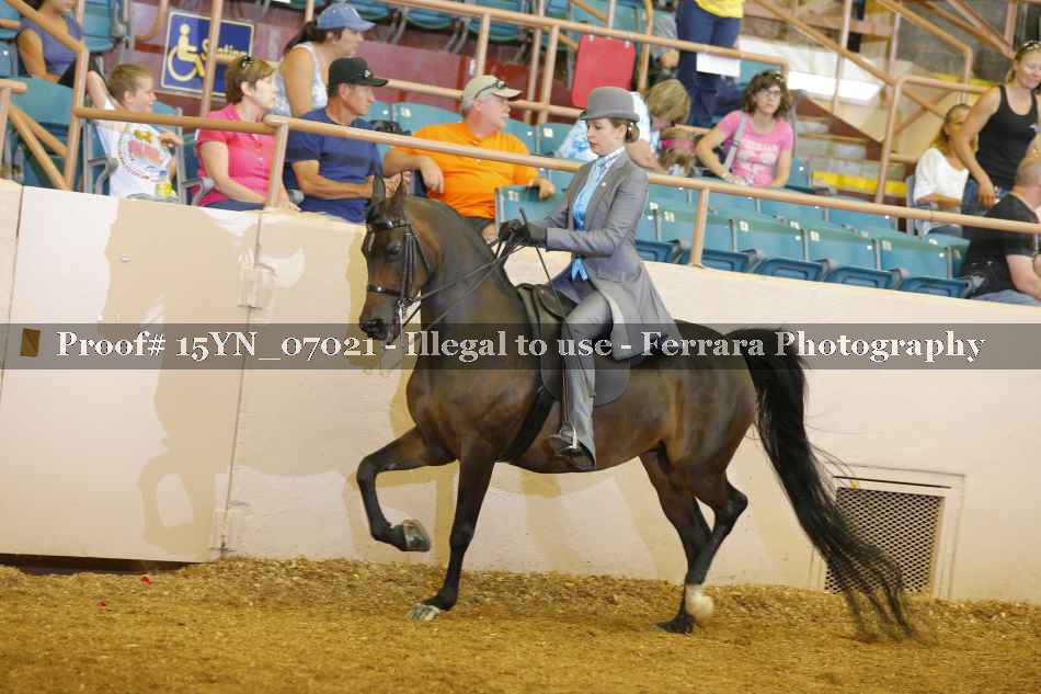 Proof 15YN_07021