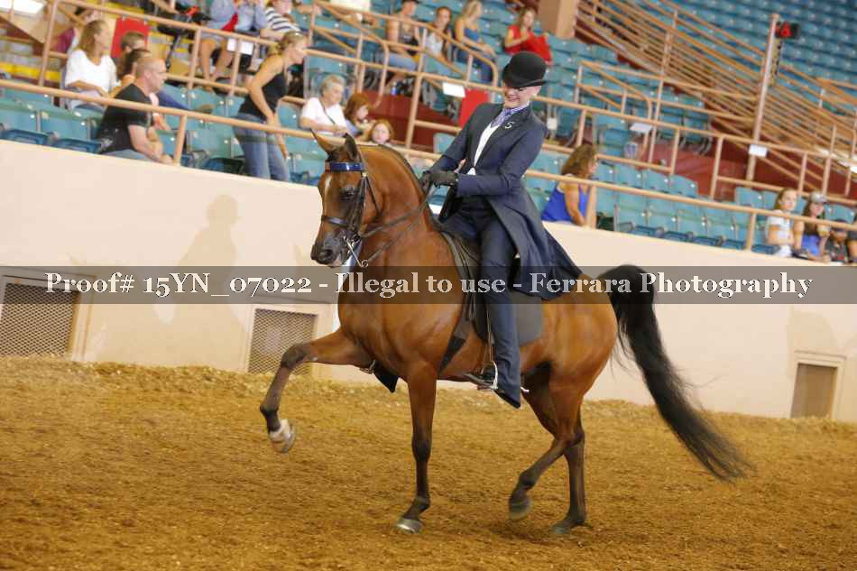 Proof 15YN_07022