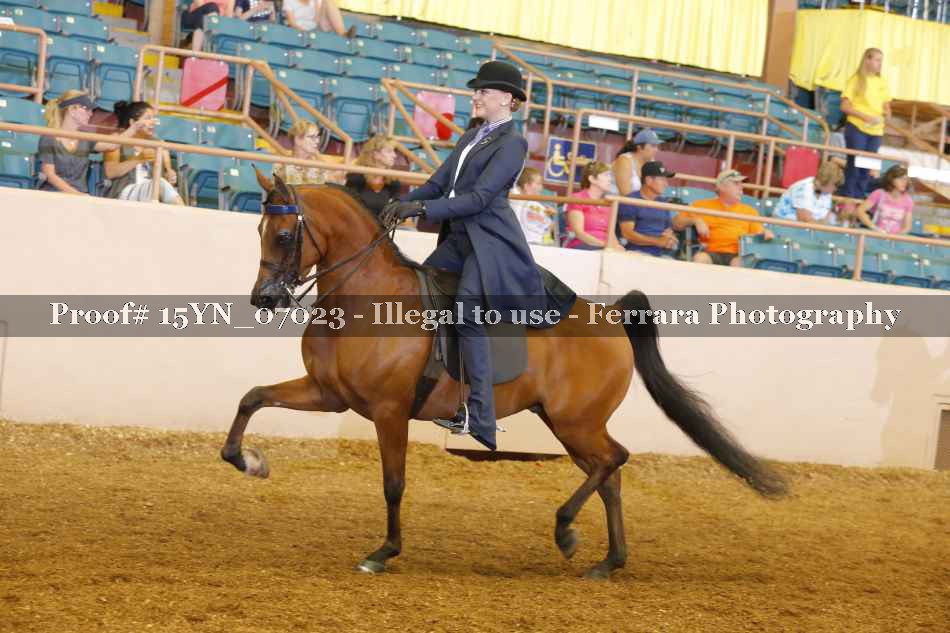 Proof 15YN_07023