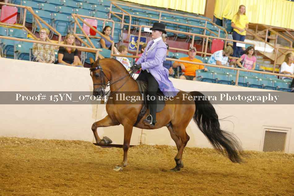 Proof 15YN_07024