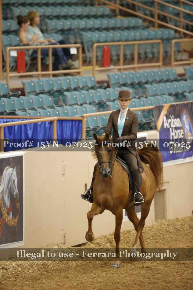 Proof 15YN_07025
