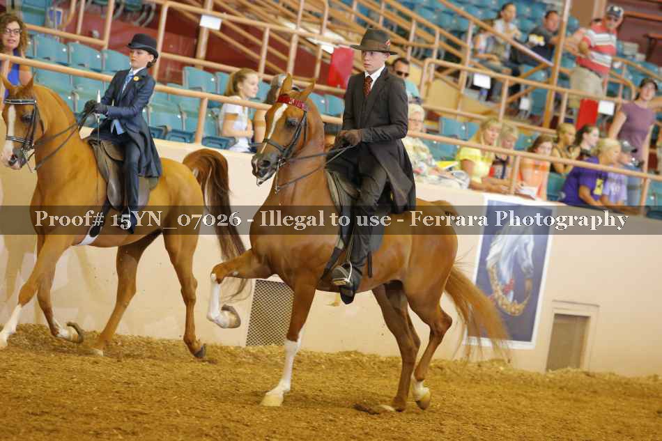 Proof 15YN_07026