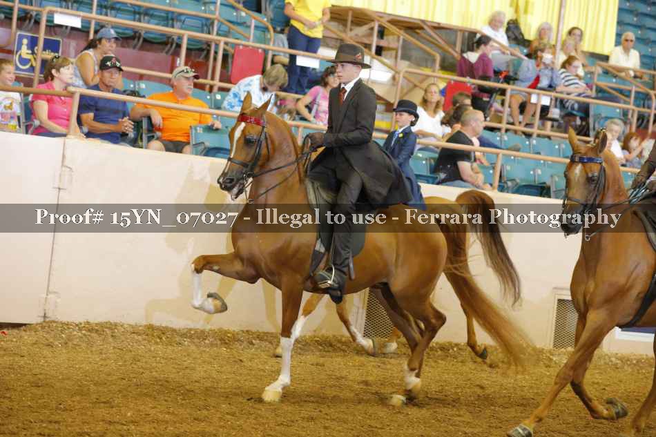 Proof 15YN_07027