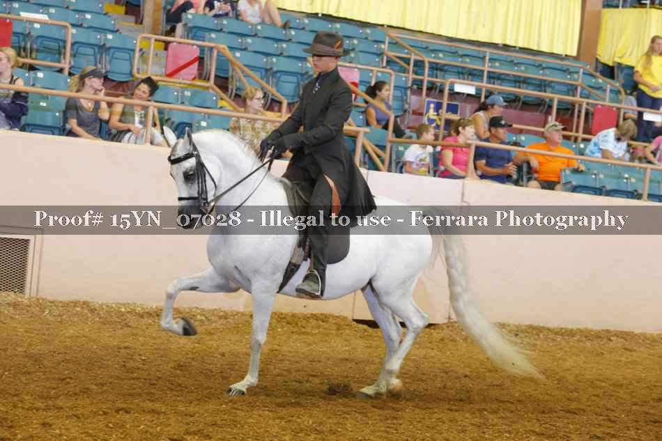Proof 15YN_07028