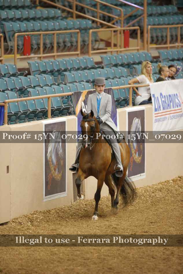 Proof 15YN_07029
