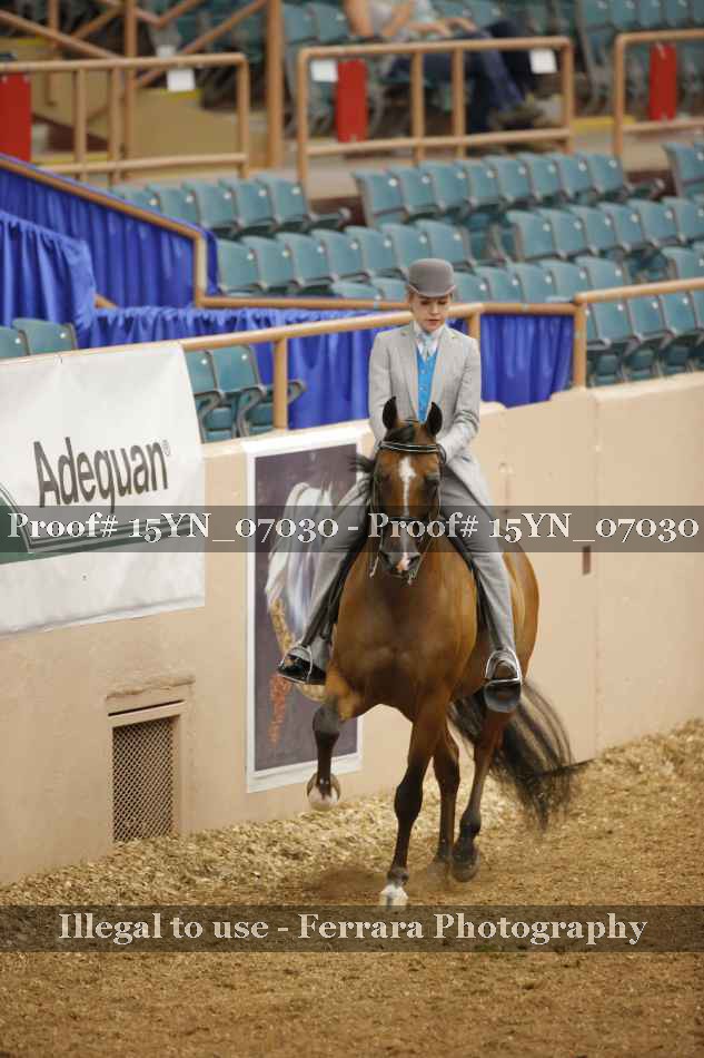 Proof 15YN_07030
