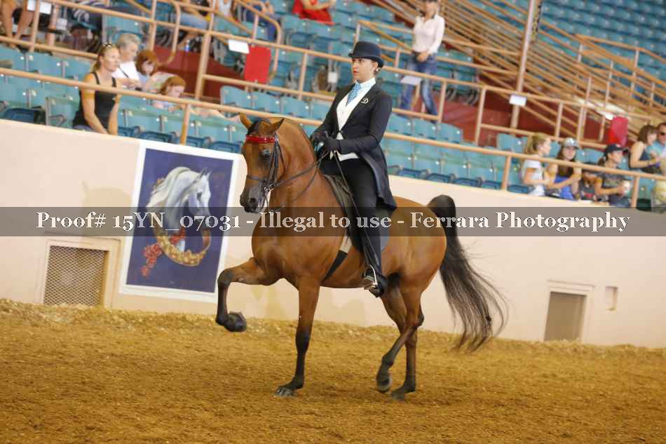 Proof 15YN_07031