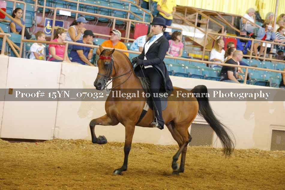 Proof 15YN_07032