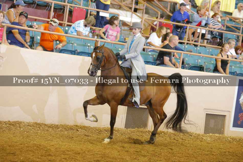 Proof 15YN_07033