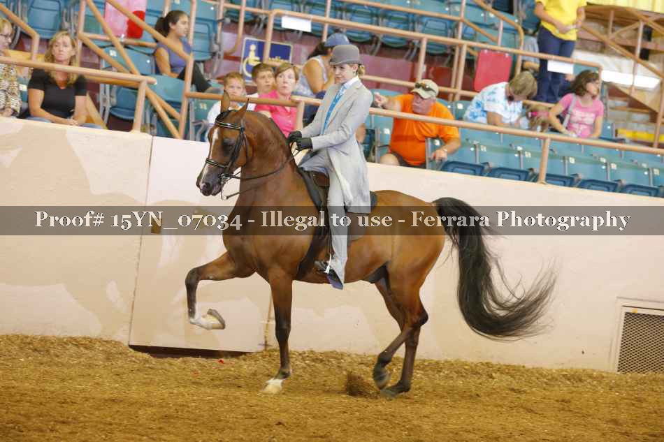 Proof 15YN_07034