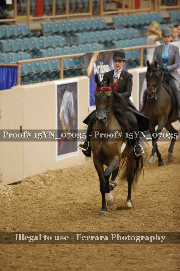 Proof 15YN_07035