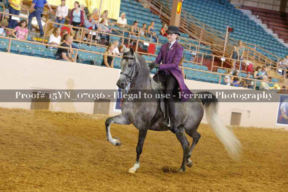 Proof 15YN_07036