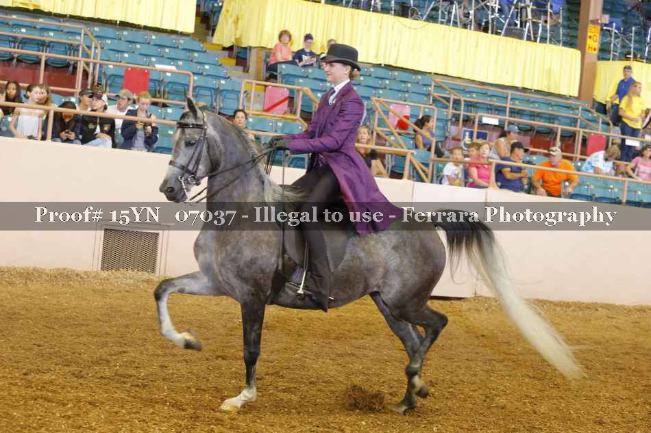 Proof 15YN_07037