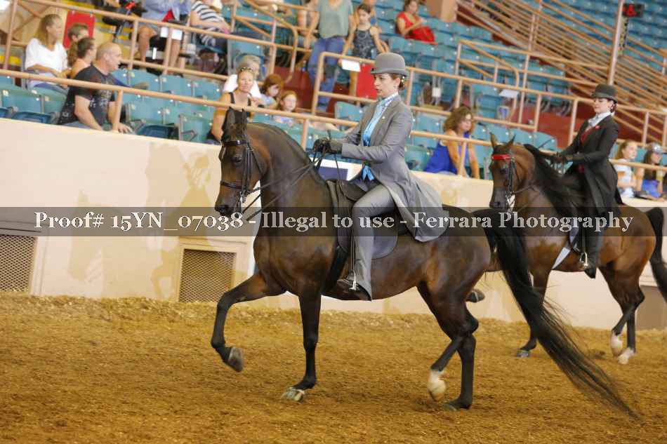 Proof 15YN_07038