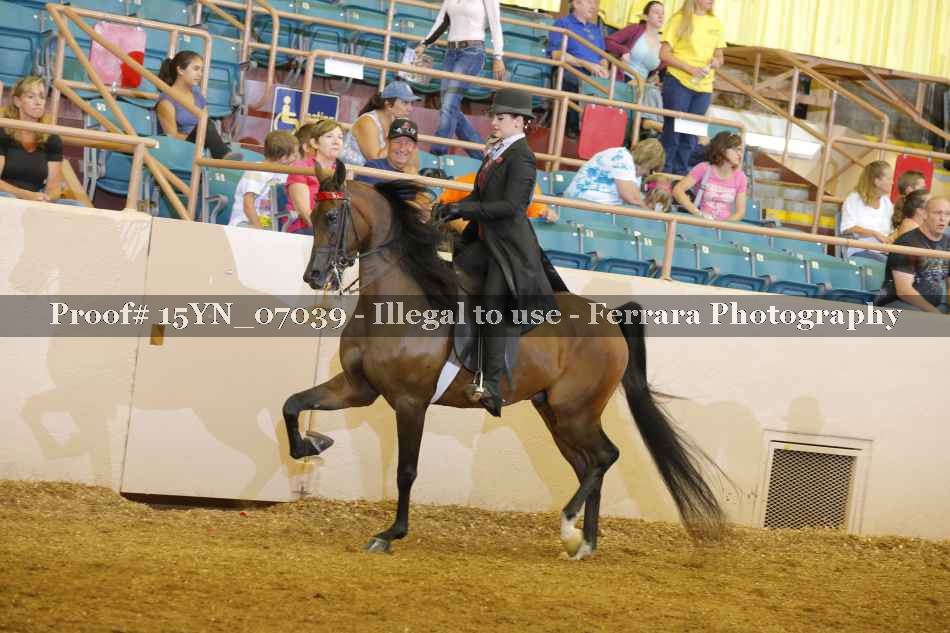 Proof 15YN_07039