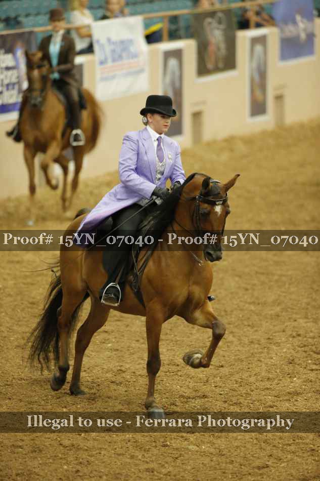Proof 15YN_07040
