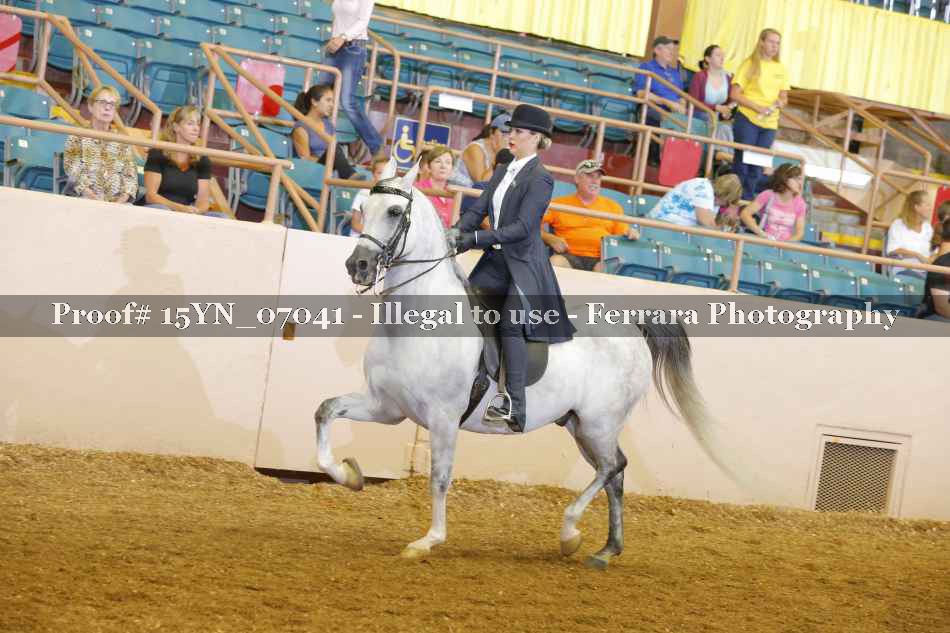 Proof 15YN_07041
