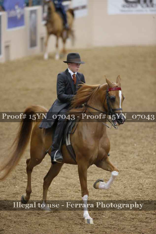 Proof 15YN_07043