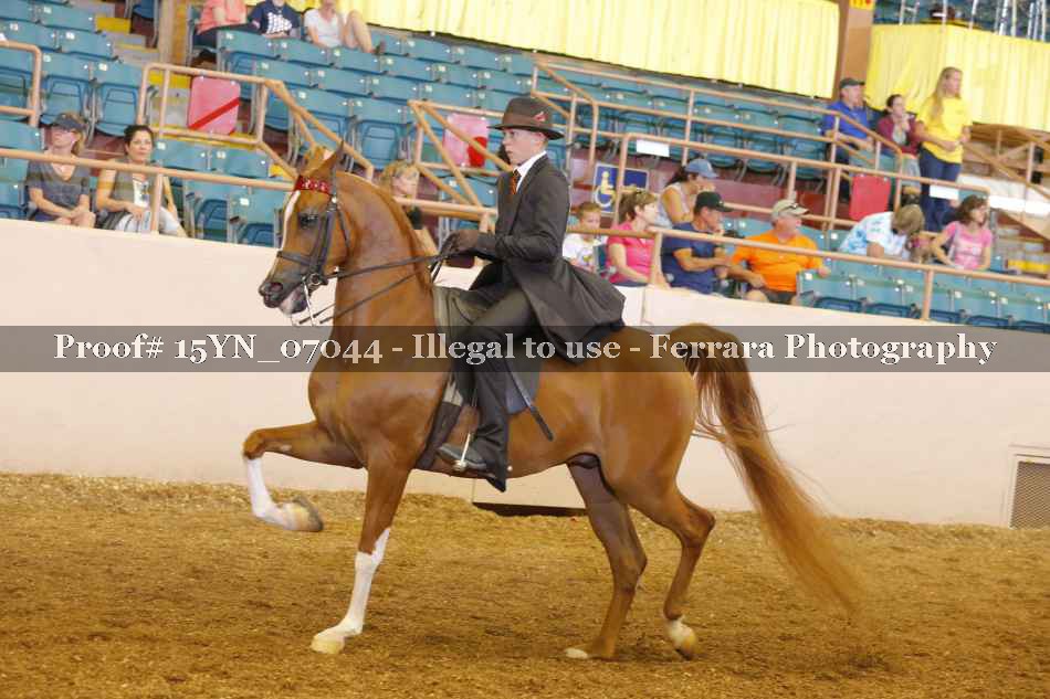 Proof 15YN_07044