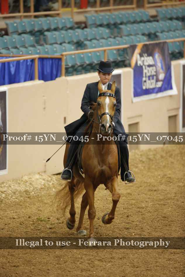 Proof 15YN_07045