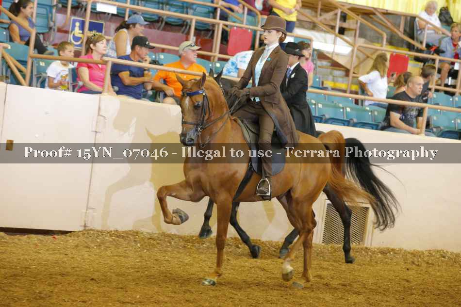 Proof 15YN_07046