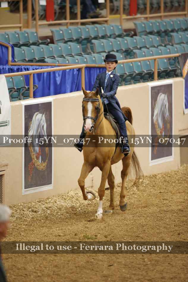 Proof 15YN_07047