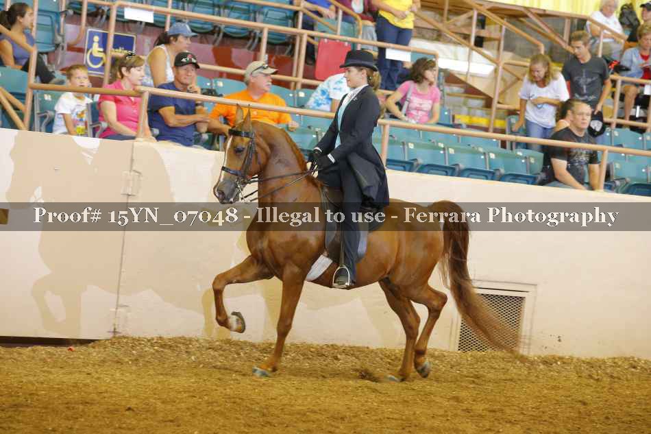 Proof 15YN_07048