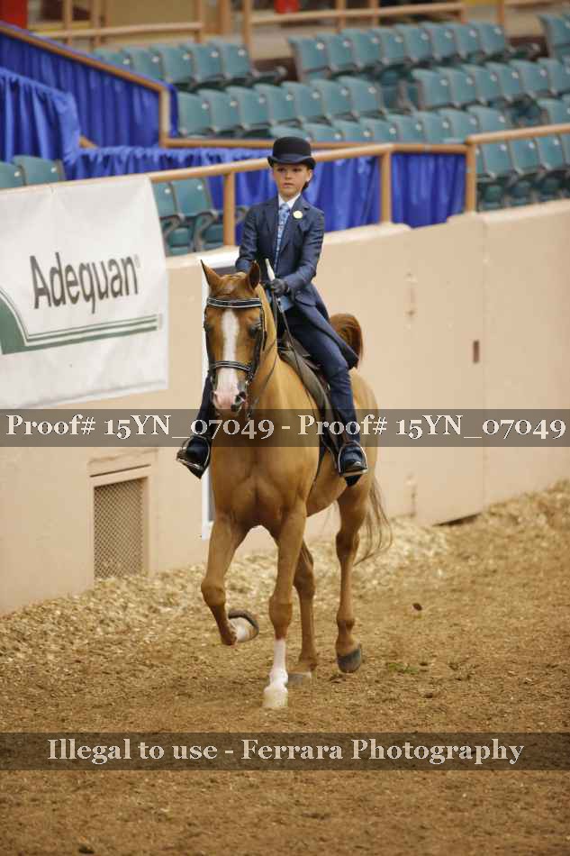 Proof 15YN_07049