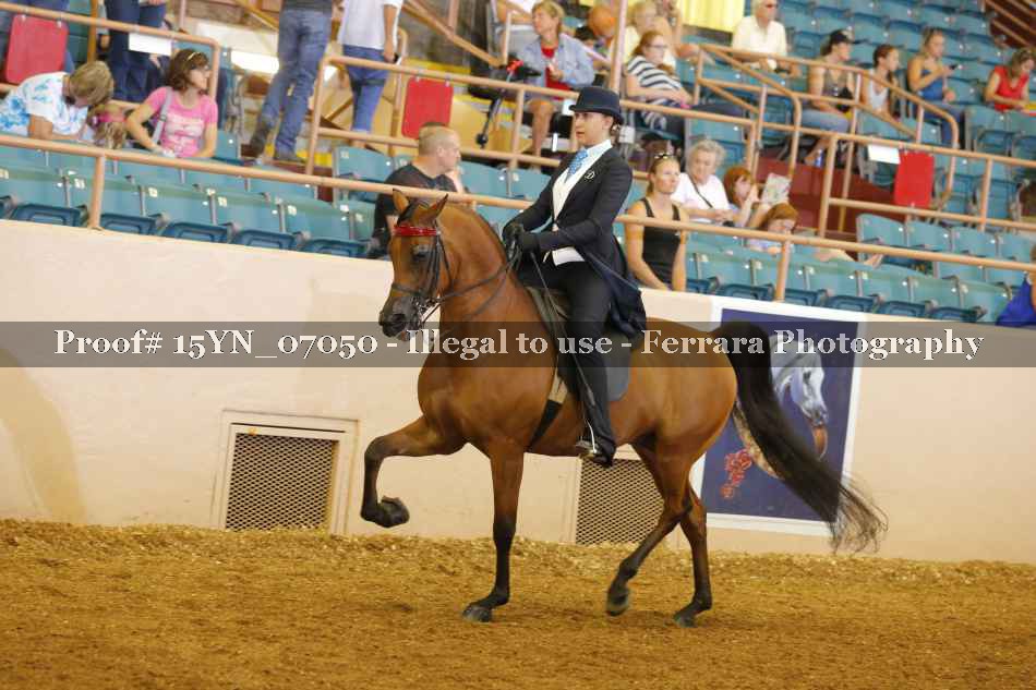 Proof 15YN_07050