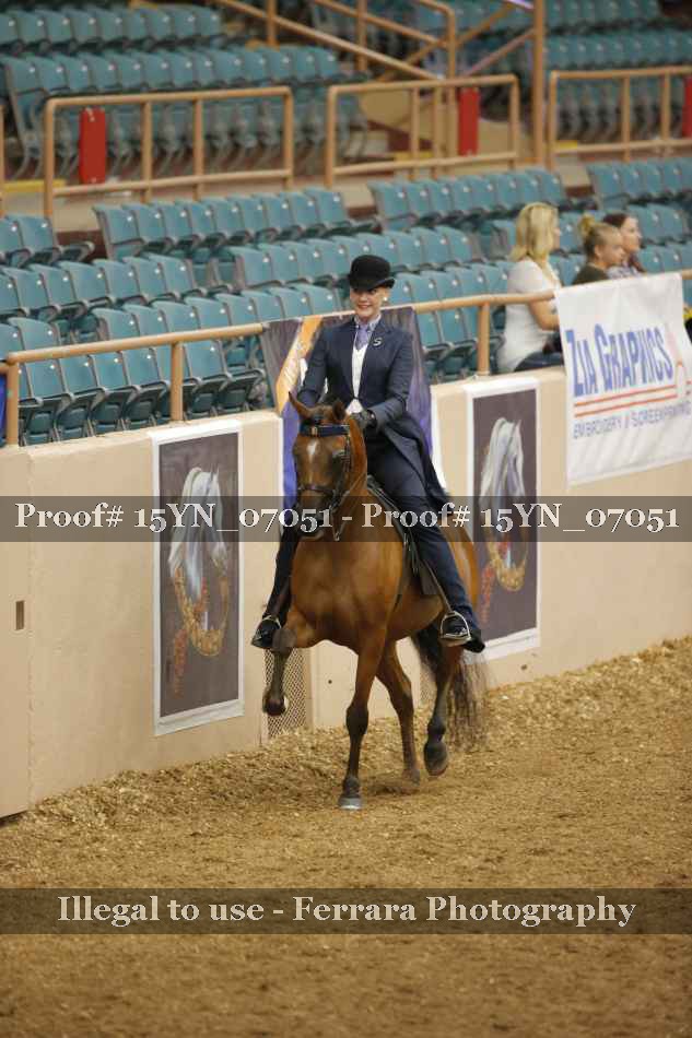 Proof 15YN_07051