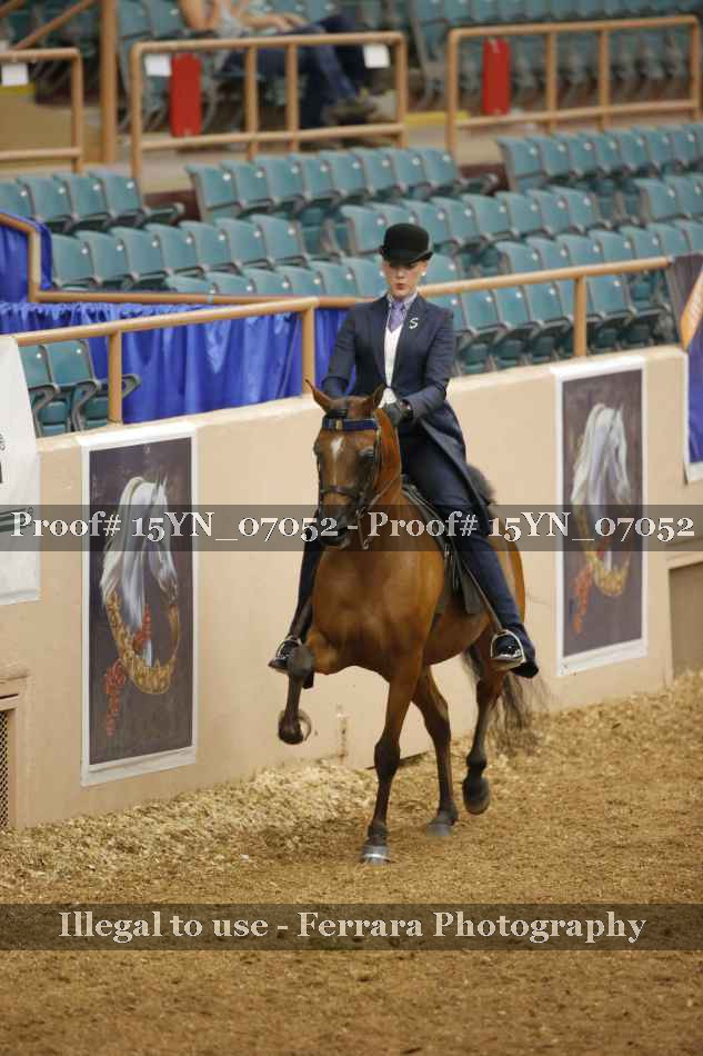 Proof 15YN_07052
