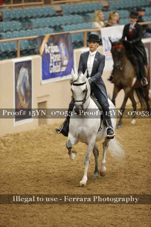 Proof 15YN_07053