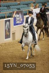 15YN_07053 proof