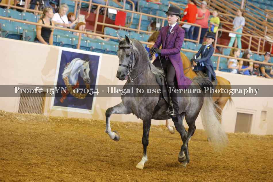 Proof 15YN_07054