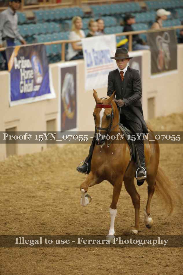 Proof 15YN_07055