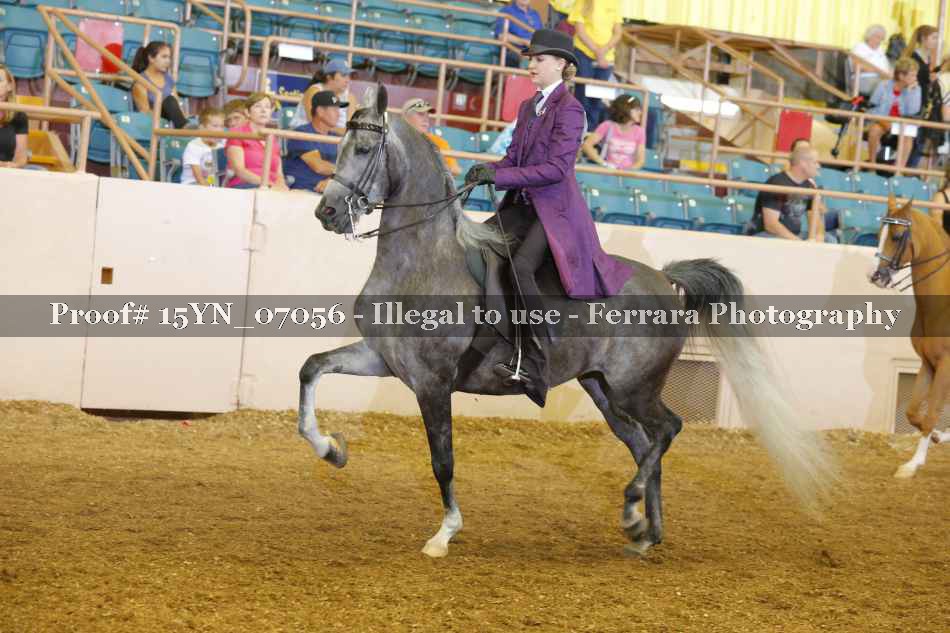 Proof 15YN_07056