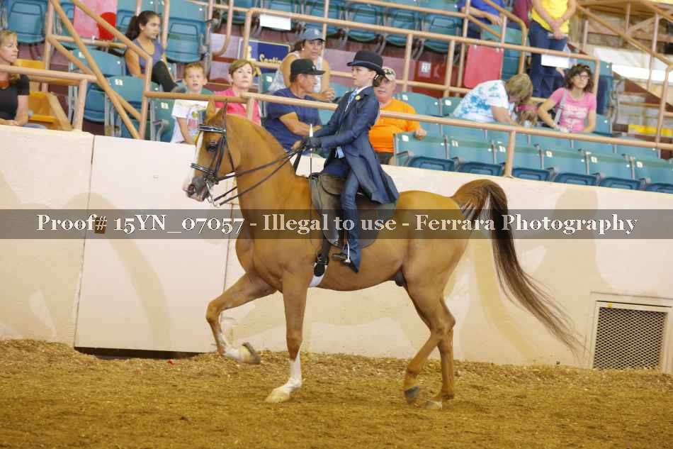 Proof 15YN_07057