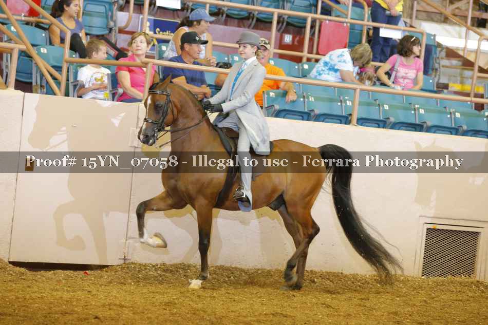 Proof 15YN_07058