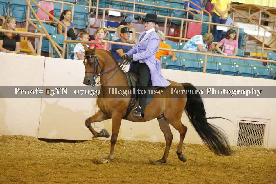 Proof 15YN_07059