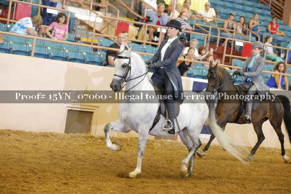 Proof 15YN_07060