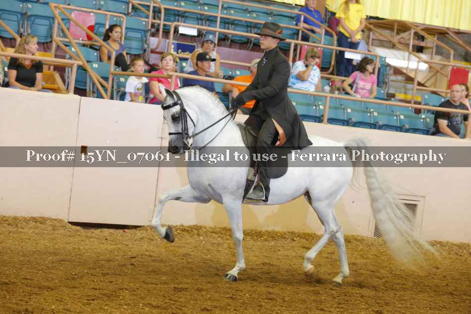 Proof 15YN_07061
