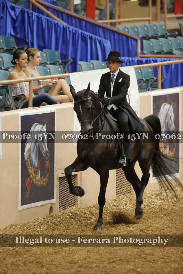 Proof 15YN_07062