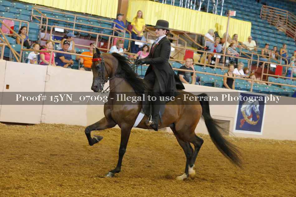 Proof 15YN_07063
