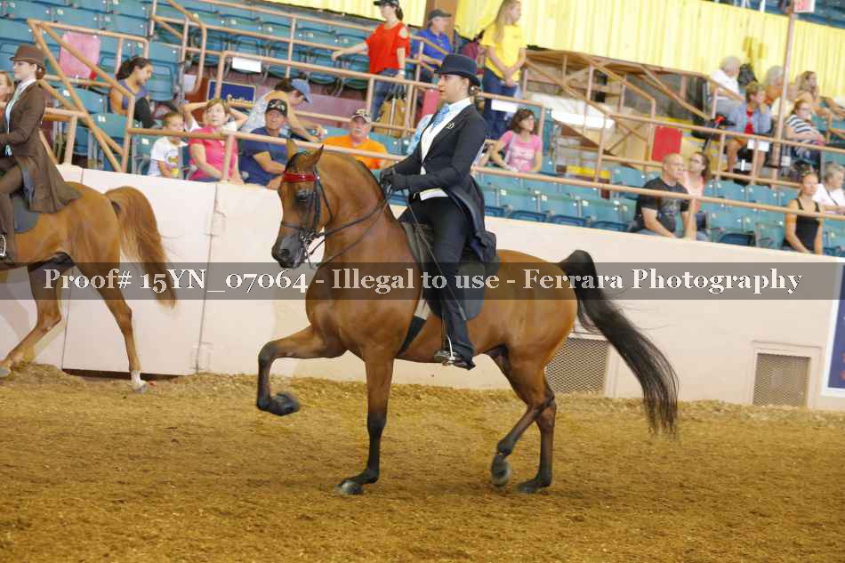 Proof 15YN_07064