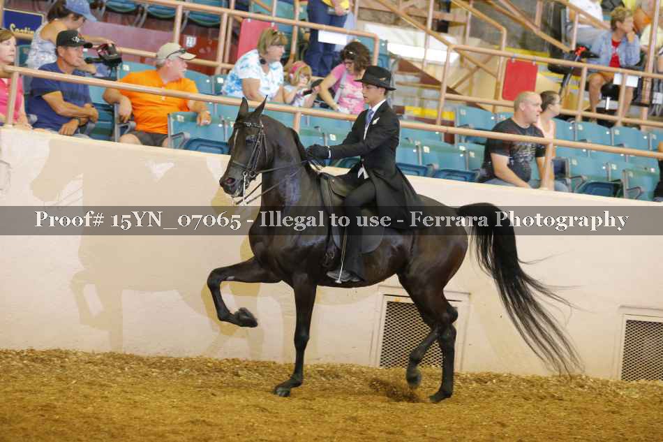 Proof 15YN_07065